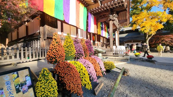 Jindaiji Temple by null