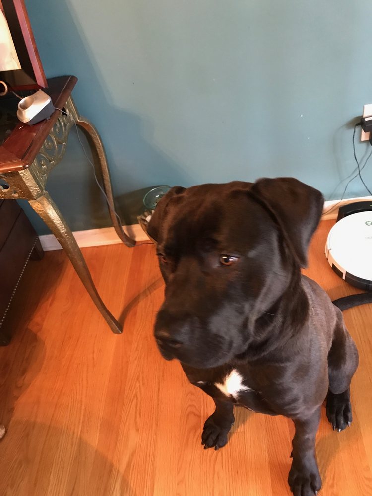 Talk With Twila Ministries - grief counselor in Newark, DE