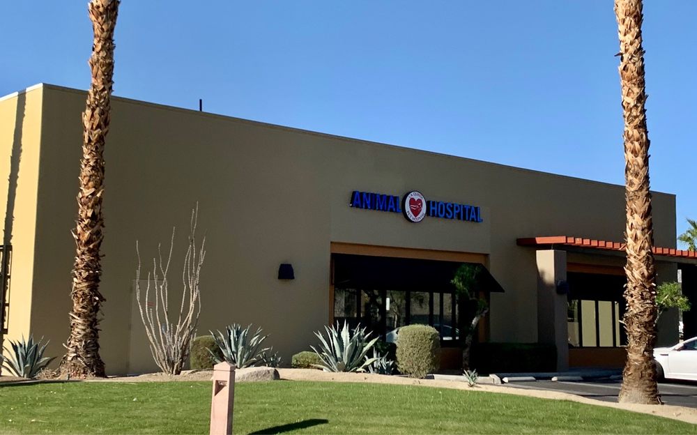 VALLEY VETERINARY URGENT CARE & LA QUINTA PET HOSPITAL with reviews Updated September 2024