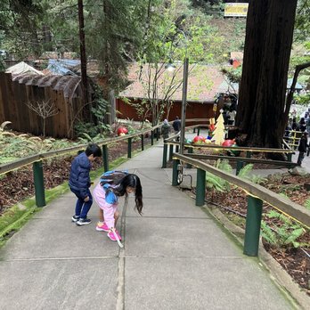 Mystery Spot - Amusement Parks Near Me - Santa Cruz, California Mystery Spot - Amusement Parks Near Me - Santa Cruz, California