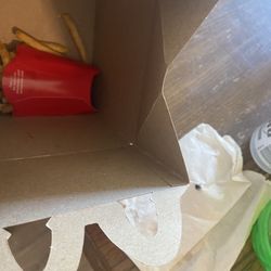 McDonald's - Dead fly in happy meal