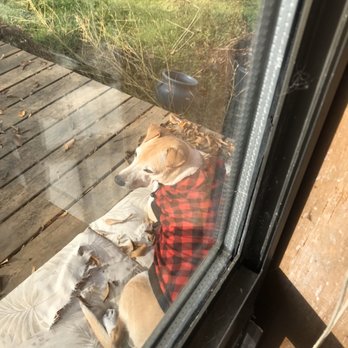 rock creek animal hospital