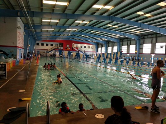 SwimAtlanta Pool Management