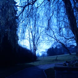 University of Nottingham