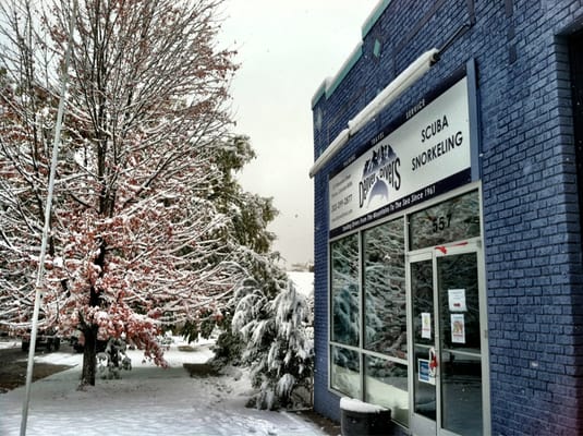 Denver Divers and The Swim School of Denver by null