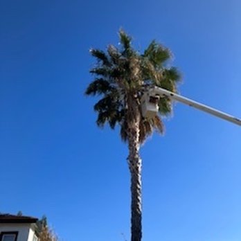 Friendly Tree Care - Tree Services Near Me
