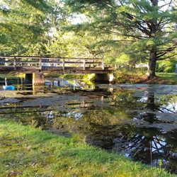 Deerpark NYC Campground