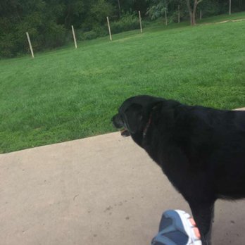Half Moon Kennels - 5 acres of fenced area for your dogs to run and play - Pet Boarding Near Me - Tiffin, Iowa Half Moon Kennels - 5 acres of fenced area for your dogs to run and play - Pet Boarding Near Me - Tiffin, Iowa