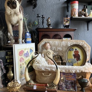 Cleveland Curiosities - Horns up! - Antiques Near Me - Lakewood, Ohio Cleveland Curiosities - Horns up! - Antiques Near Me - Lakewood, Ohio