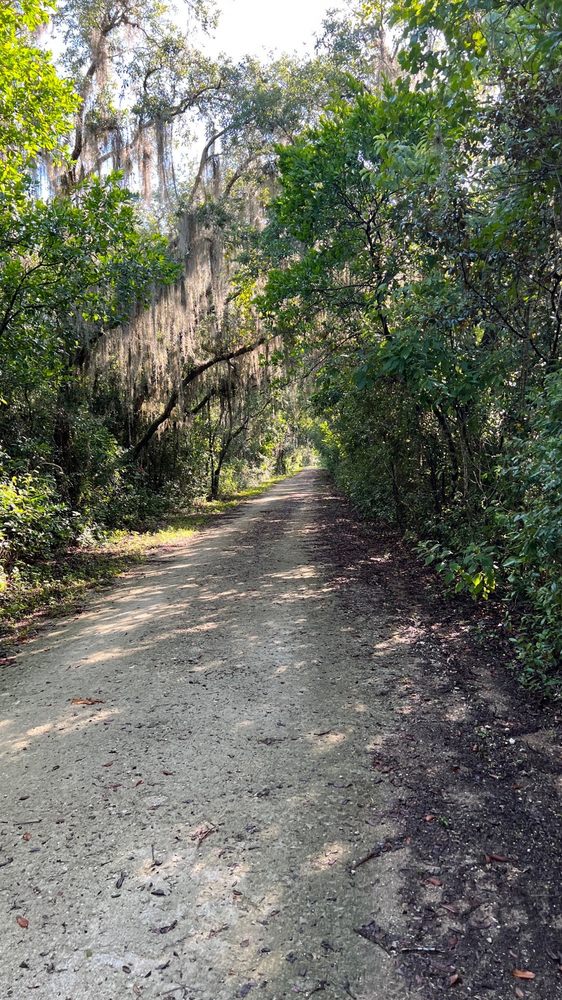 Green Mountain Scenic Overlook Trail Image