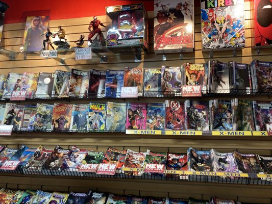 Collector's Paradise by null