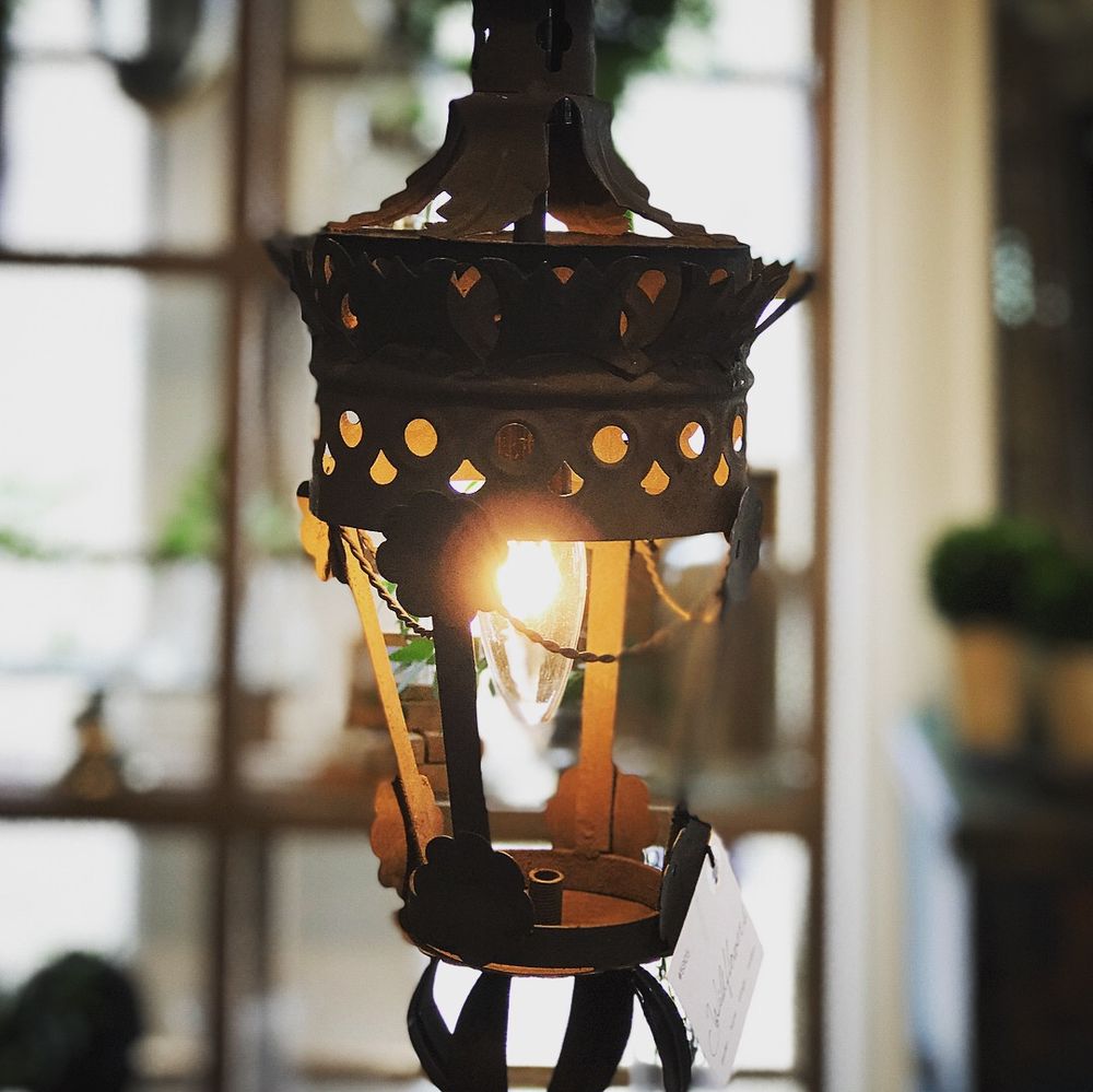 WILDFLOWERS Updated October 2024 45 Photos 2729 S Padre Island Dr