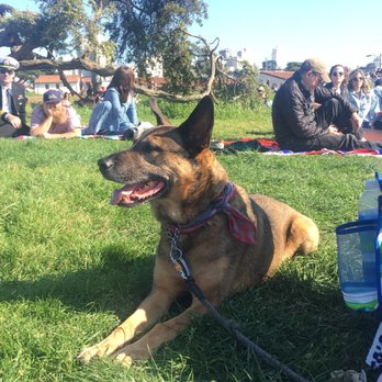 Fort Mason - Dog on leash friendly - Landmarks & Historical Buildings Near Me - San Francisco, California