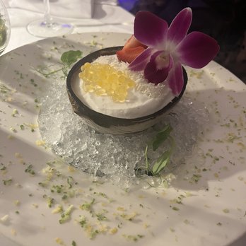 The Villa Casa Casuarina - Coconut sorbet (best thing) - Hotels Near Me - Miami Beach, Florida The Villa Casa Casuarina - Coconut sorbet (best thing) - Hotels Near Me - Miami Beach, Florida