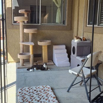Catio phoria - Happy kitties - Patio Coverings Near Me - West Sacramento, California Catio phoria - Happy kitties - Patio Coverings Near Me - West Sacramento, California