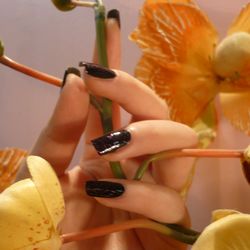 Nailsmap - Juste une pose de vernis