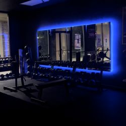 Ness Fitness