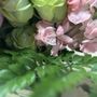 Photo of Windsor Florist