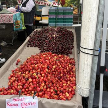 Beaverton Farmers Market - Cherries for everyone - Farmers Market Near Me - Beaverton, Oregon