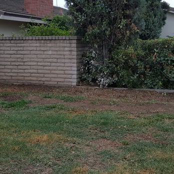 Jae Tree Service - Here's the after - all nice and cleaned up! - Tree Services Near Me Jae Tree Service - Here's the after - all nice and cleaned up! - Tree Services Near Me