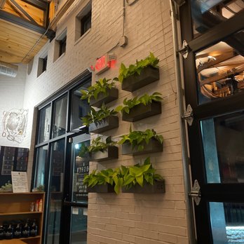 Goshen Brewing Company - a wall of plants - Breweries Near Me - Goshen, Indiana
