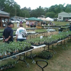Wake Forest Herb Fest - Herbs part two (couldn't get all of them in one shot)