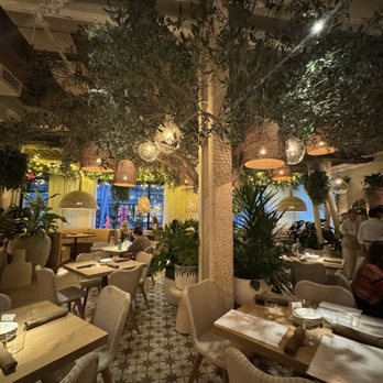 Ema - Interior - Mediterranean Near Me - Austin, Texas