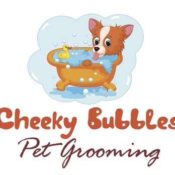 Cheeky Bubbles - Pet Groomers Near Me - Santa Fe, New Mexico Cheeky Bubbles - Pet Groomers Near Me - Santa Fe, New Mexico