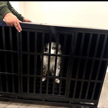 SnugSpace - Testing out the dog crate - Furniture Assembly Near Me
