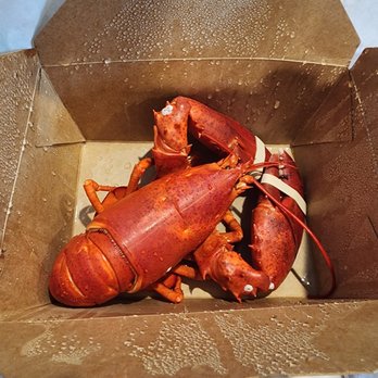 The Lobster Man - Seafood Markets Near Me - Vancouver, British Columbia