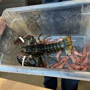 The Fish Man - Seafood Near Me - Richmond, British Columbia