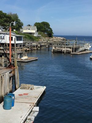 Shaw's Fish & Lobster Wharf by null