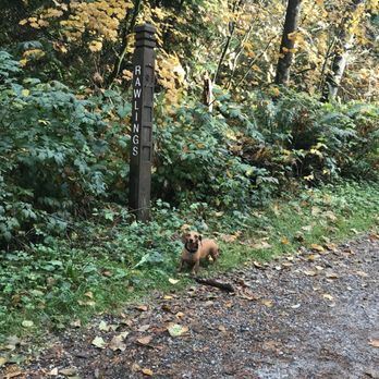 Stanley Park - Molly - Parks Near Me - Vancouver, British Columbia Stanley Park - Molly - Parks Near Me - Vancouver, British Columbia