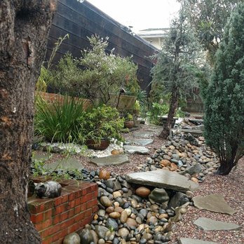 Samayoa Landscaping Berkeley - Frog under stone crossing - Landscaping Near Me Samayoa Landscaping Berkeley - Frog under stone crossing - Landscaping Near Me