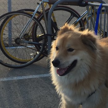 Faction Brewing - Dog friendly and bike parking - Breweries Near Me - Alameda, California Faction Brewing - Dog friendly and bike parking - Breweries Near Me - Alameda, California