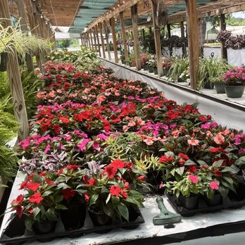 Powell's Nursery - Flowers - Nurseries & Gardening Near Me - Callahan, Florida Powell's Nursery - Flowers - Nurseries & Gardening Near Me - Callahan, Florida