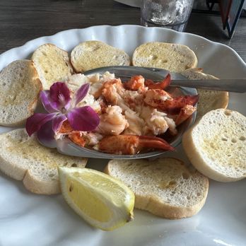 Bar Fly Safety Harbor - Lobster Nibbler - Seafood Near Me - Safety Harbor, Florida