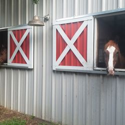 Lugo Ranch - Just chilling while laying over at Lugo Ranch before heading on to Lincoln Nebraska for NHSRF.