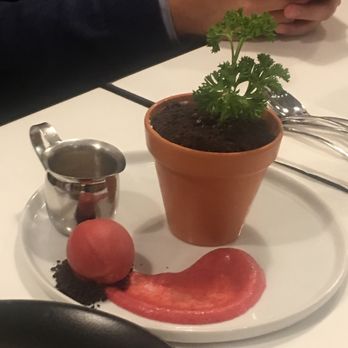 Spot Dessert Bar - Good stuff. Just don't eat the plant. Unless you like that kind of stuff. - Desserts Near Me - Flushing, New York Spot Dessert Bar - Good stuff. Just don't eat the plant. Unless you like that kind of stuff. - Desserts Near Me - Flushing, New York