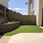 Photo of Sensational Greens