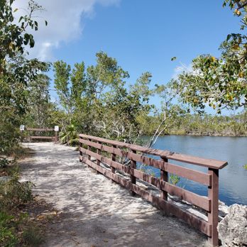 Blue Hole Observation Platform - Hiking Near Me - Big Pine Key, Florida