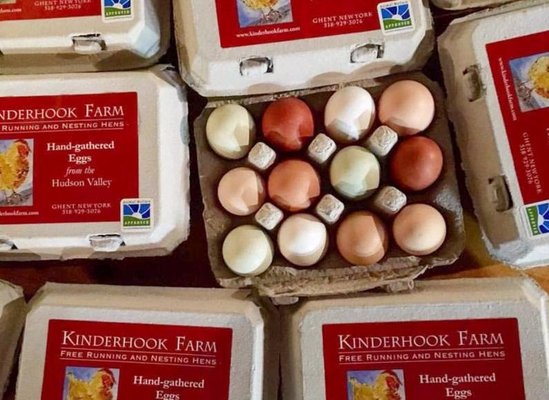 Kinderhook Farm by null