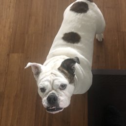Bella Roo Bella Roo