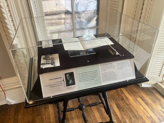 Jane Addams Hull-House Museum by null