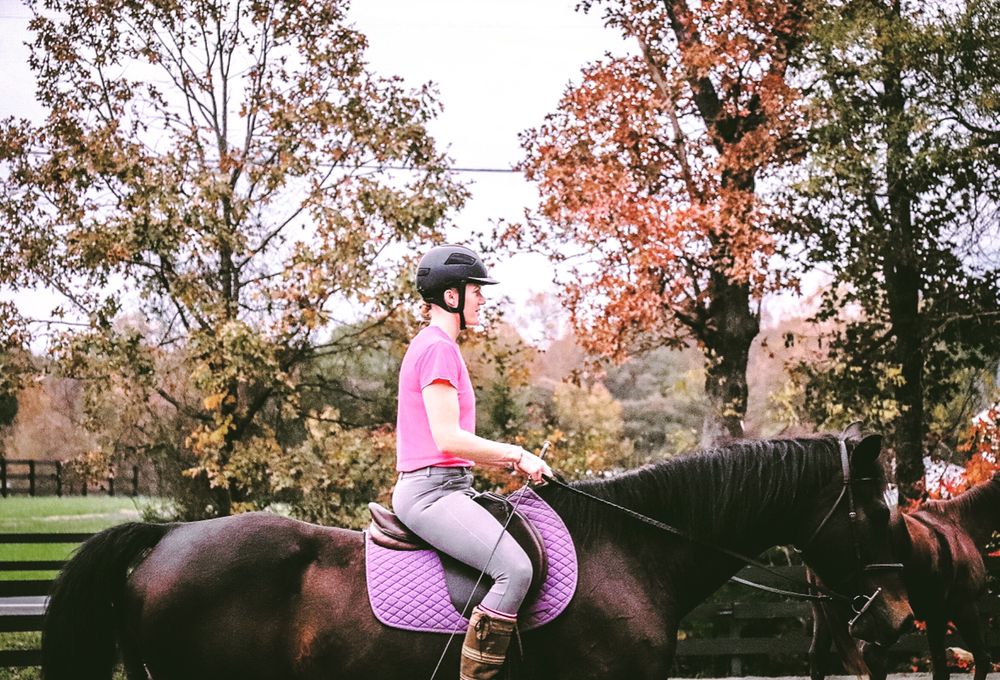 Advantage Horsemanship Equestrian Center - equestrian in Fredericksburg, VA