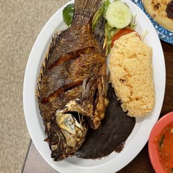 Tilapia