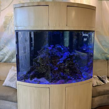 Coachella Valley Imaging - One of two fish tanks in waiting area - Medical Centers Near Me - Palm Desert, California Coachella Valley Imaging - One of two fish tanks in waiting area - Medical Centers Near Me - Palm Desert, California
