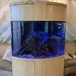 Coachella Valley Imaging - One of two fish tanks in waiting area