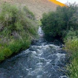 Elko Fly Shop