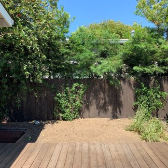 All Stars Tree Service - Post tree removal and stump ground - Tree Services Near Me - Novato, California